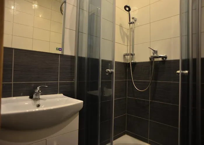 Shire Проживание в семье *